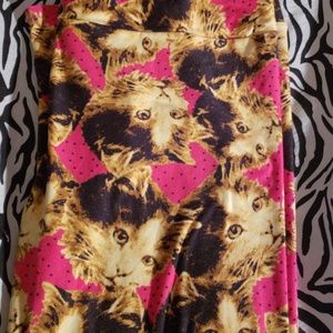 Lularoe TC kitty leggings